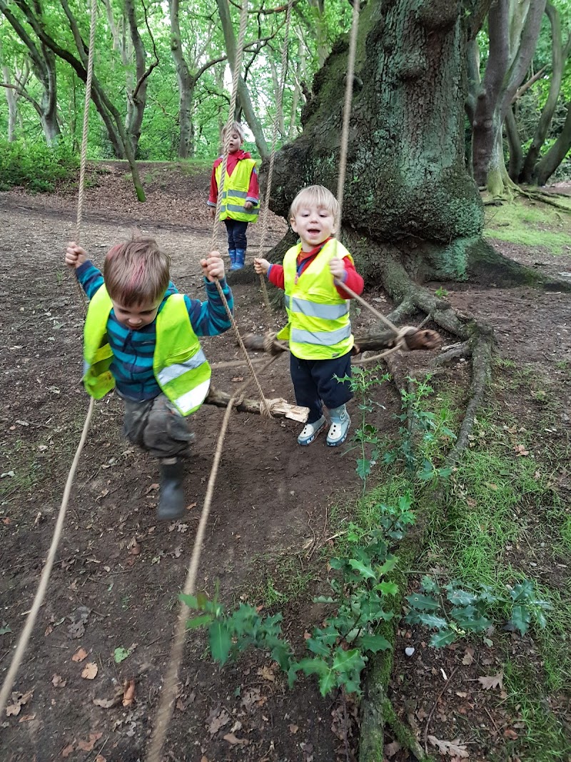 WooHoo Forest - Edukacja Leśna
