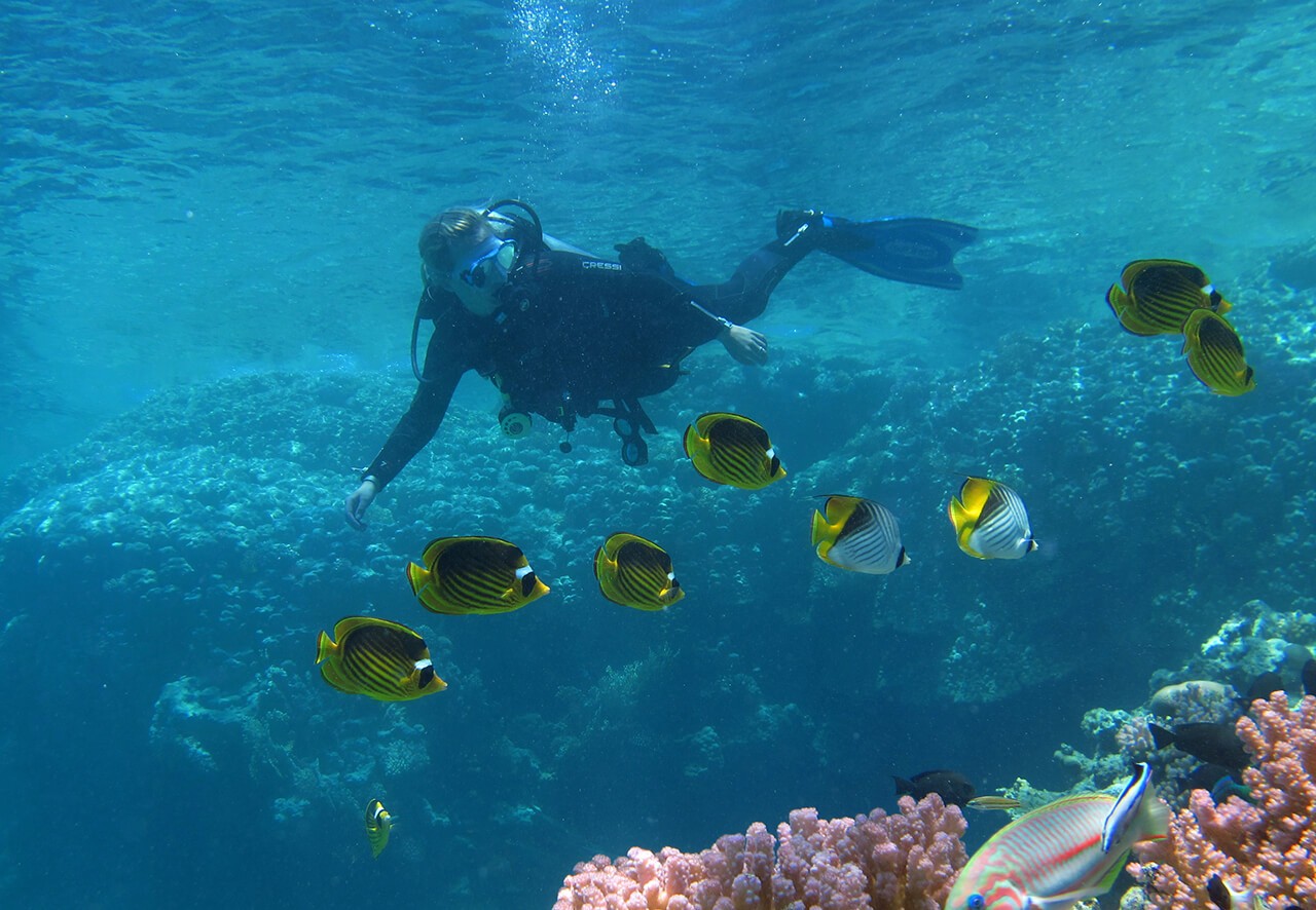 Centrum Nurkowe Expedition Dive Team