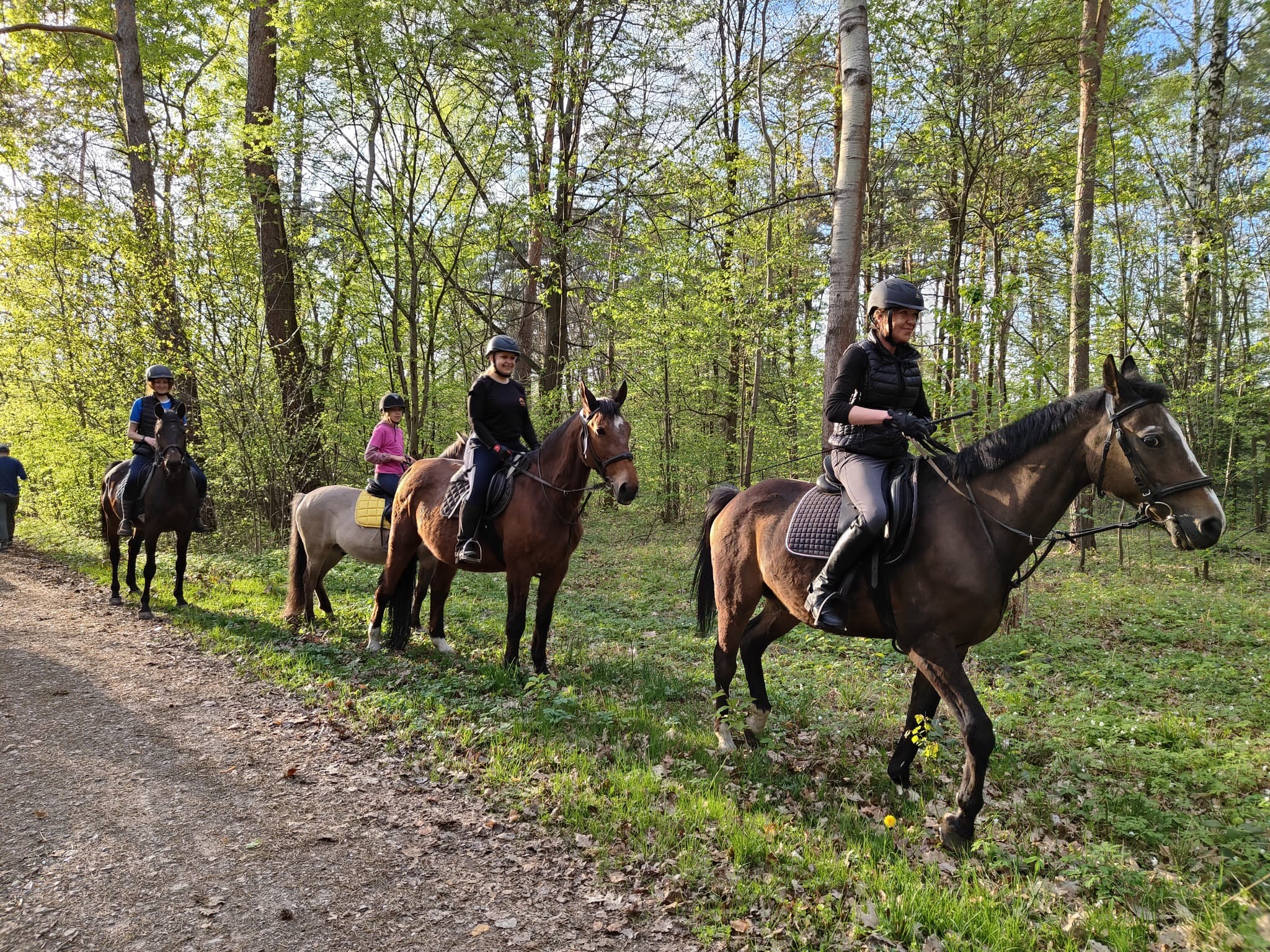 Ośrodek Rekreacji i Hipoterapii MAAG - zdjęcie 3