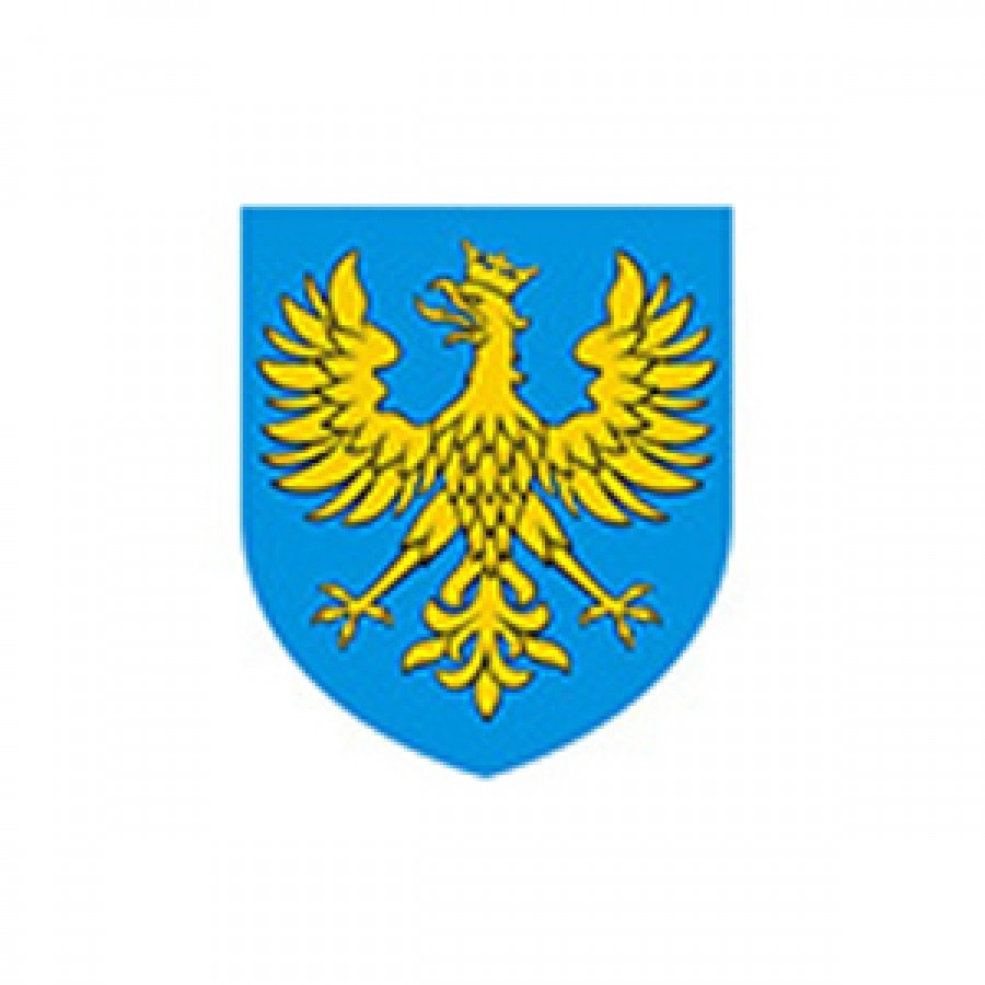Nyskie Towarzystwo Gimnastyczne - zdjęcie 2