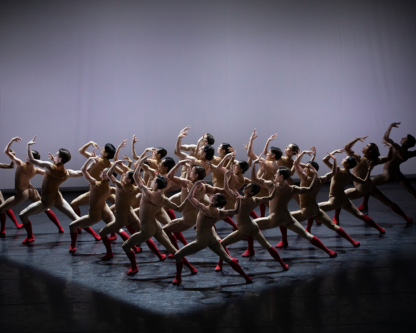 Teatr Wielki im. Stanisława Moniuszki w Poznaniu - zdjęcie 5