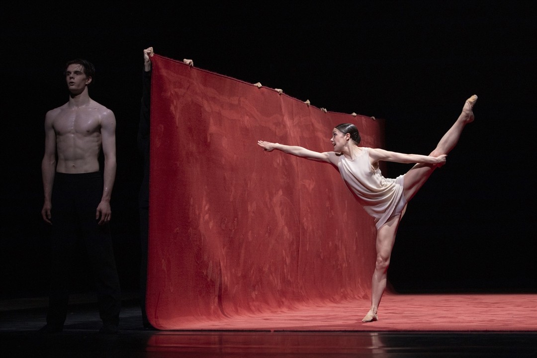 Teatr Wielki im. Stanisława Moniuszki w Poznaniu - zdjęcie 17