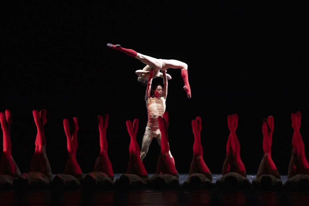 Teatr Wielki im. Stanisława Moniuszki w Poznaniu - zdjęcie 13