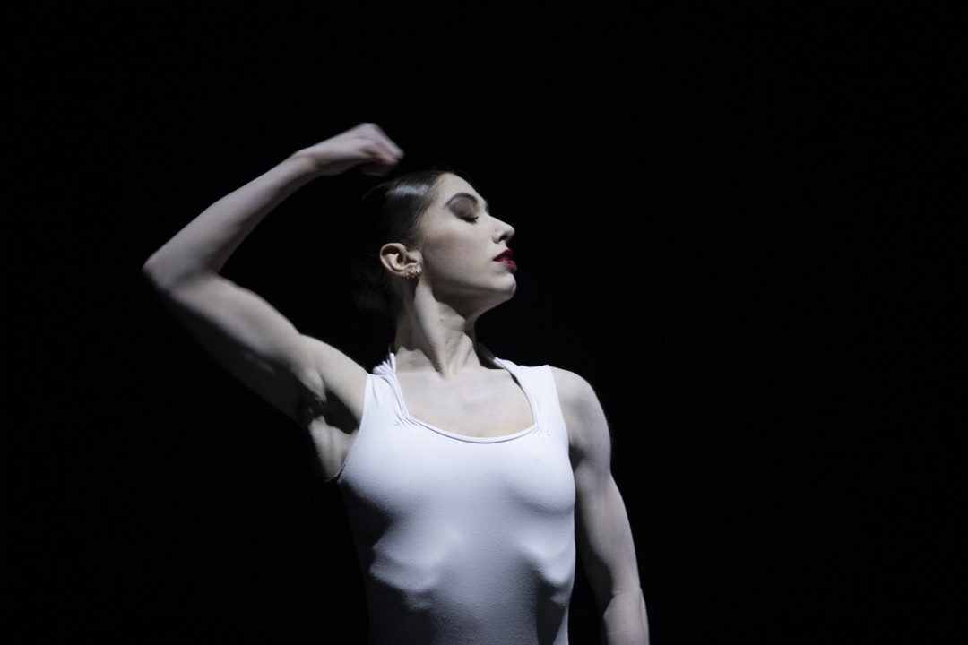 Teatr Wielki im. Stanisława Moniuszki w Poznaniu - zdjęcie 16