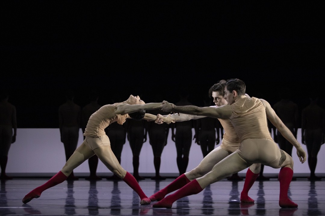Teatr Wielki im. Stanisława Moniuszki w Poznaniu - zdjęcie 14