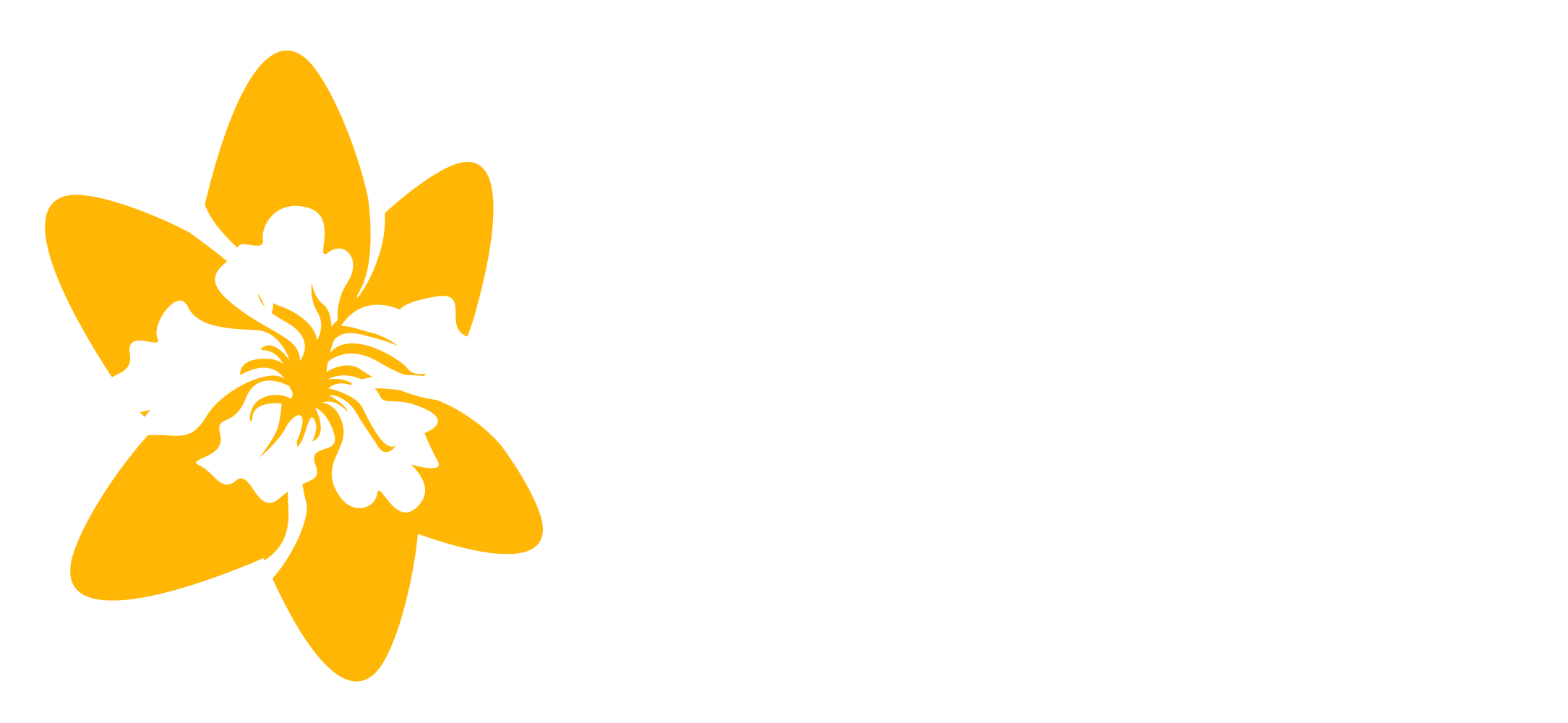 Szkoła językowa i biuro tłumaczeń Daffodil