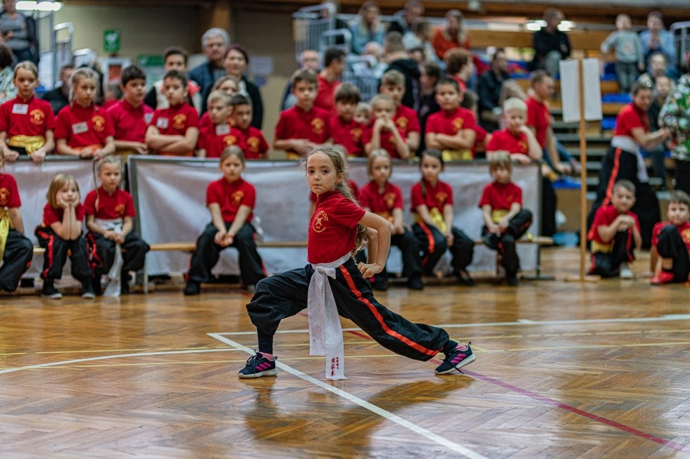 Chow Gar Kung Fu Lublin - zdjęcie 7