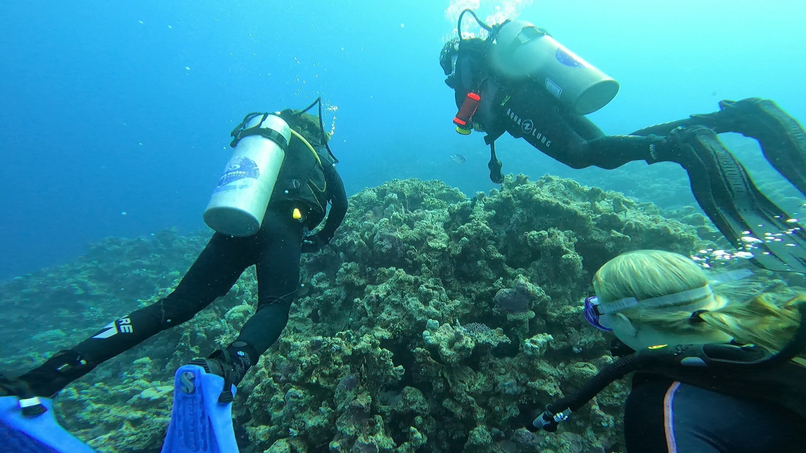Kurs Nurkowania Poznań Diving & Support Bogdan Raducha