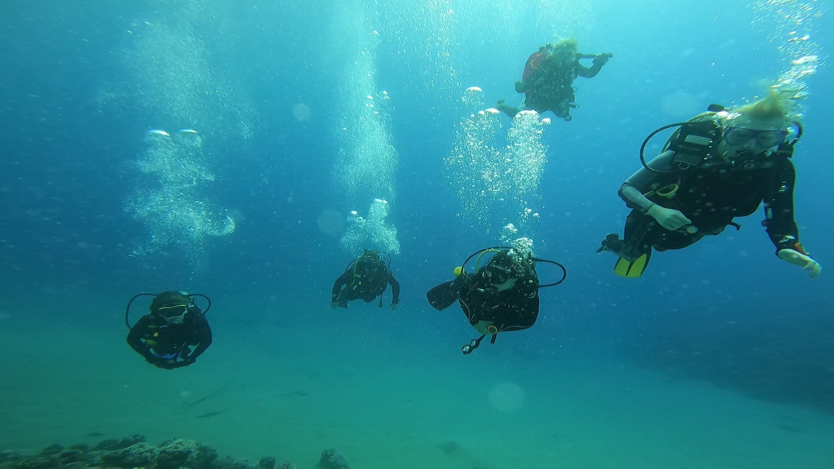 Kurs Nurkowania Poznań Diving & Support Bogdan Raducha - zdjęcie 2