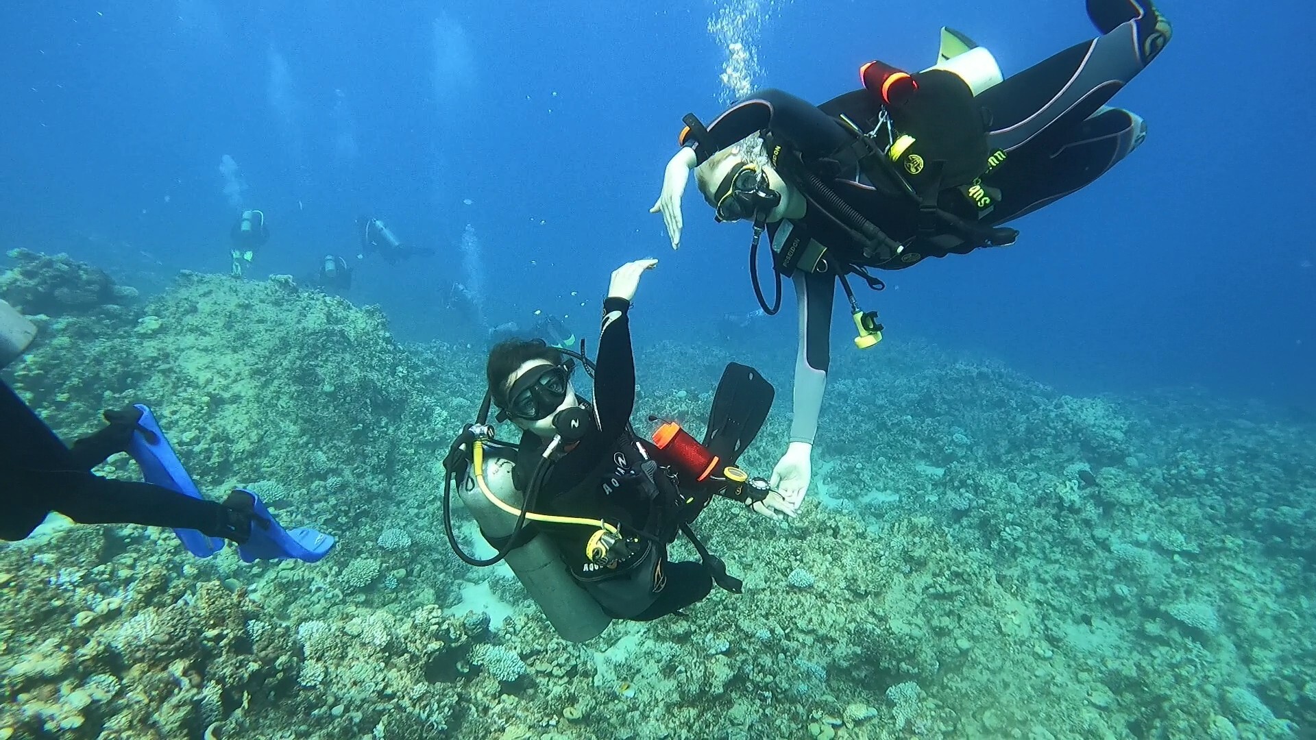 Kurs Nurkowania Poznań Diving & Support Bogdan Raducha - zdjęcie 4