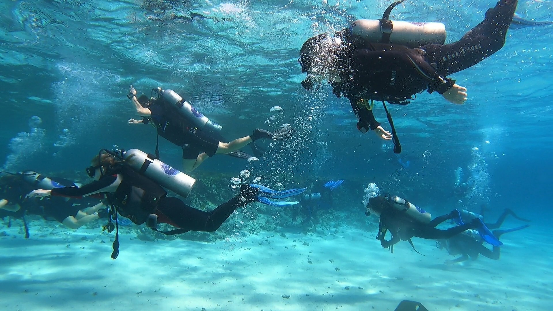 Kurs Nurkowania Poznań Diving & Support Bogdan Raducha - zdjęcie 5