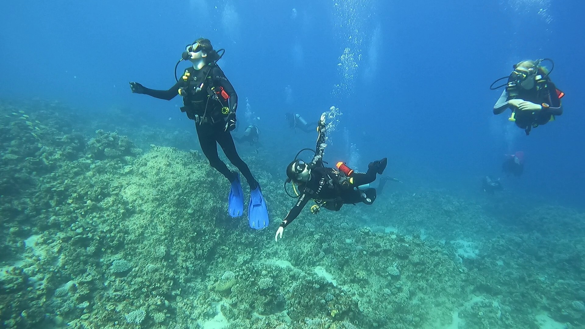 Kurs Nurkowania Poznań Diving & Support Bogdan Raducha - zdjęcie 3