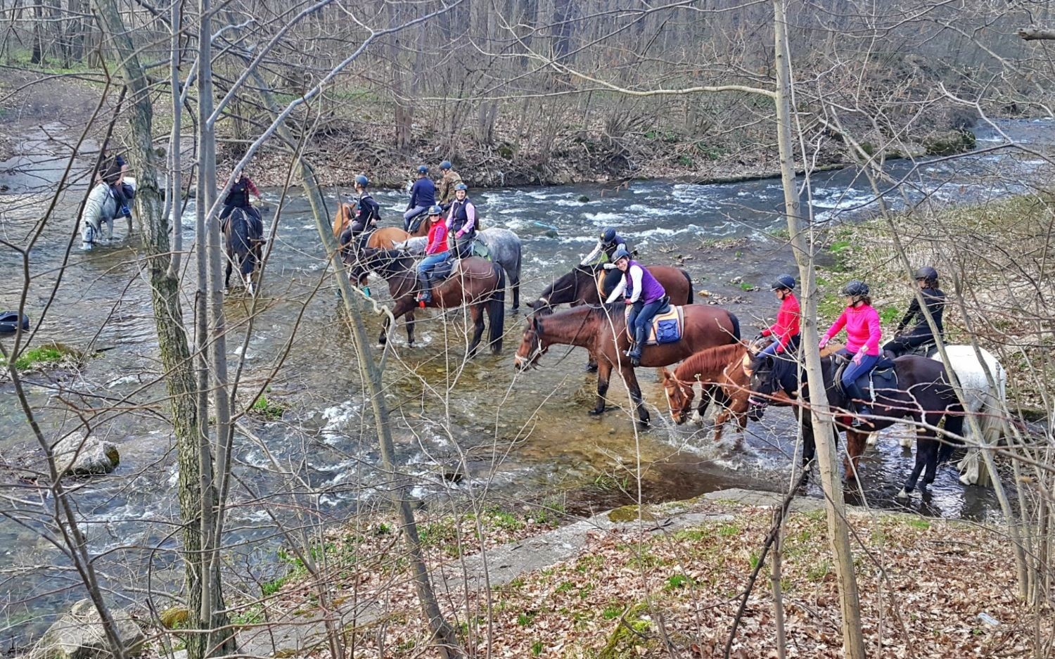 Obozy jeździeckie Mufloniada
