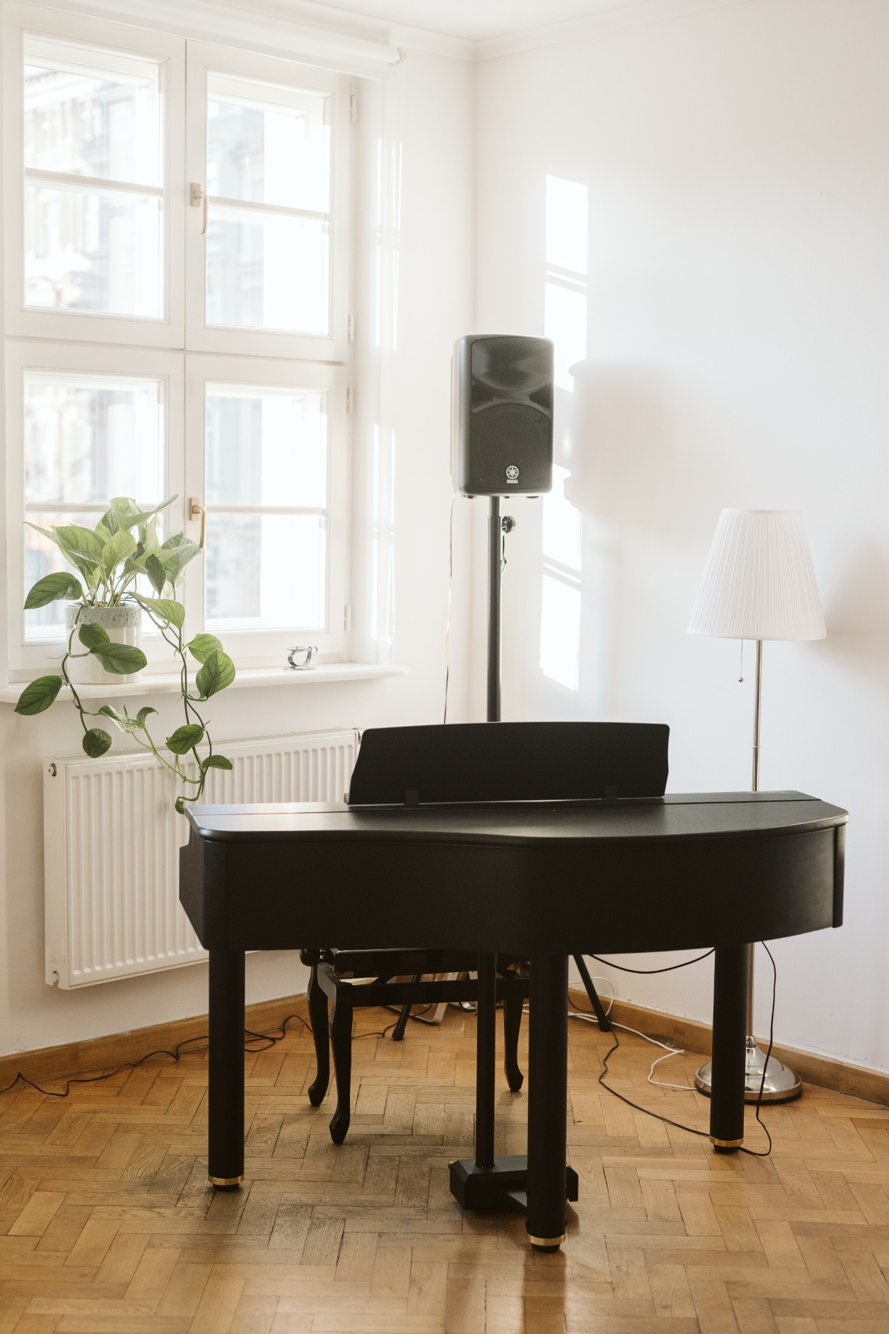 ŚpiewStudio - Lekcje Śpiewu - zdjęcie 6