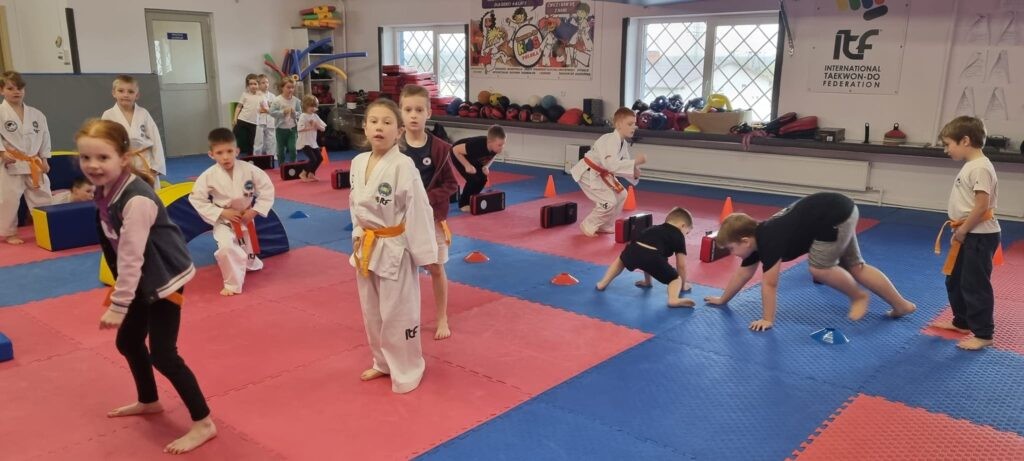 Klub Sportowy RESPEKT Taekwon-do ITF Częstochowa - zdjęcie 2