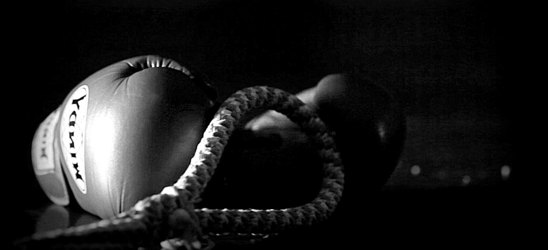 Akademia Walki Częstochowa