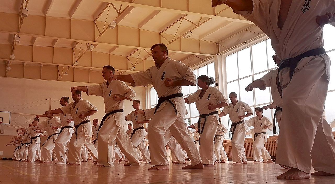 Bydgoska Szkoła Kyokushin Karate - zdjęcie 8