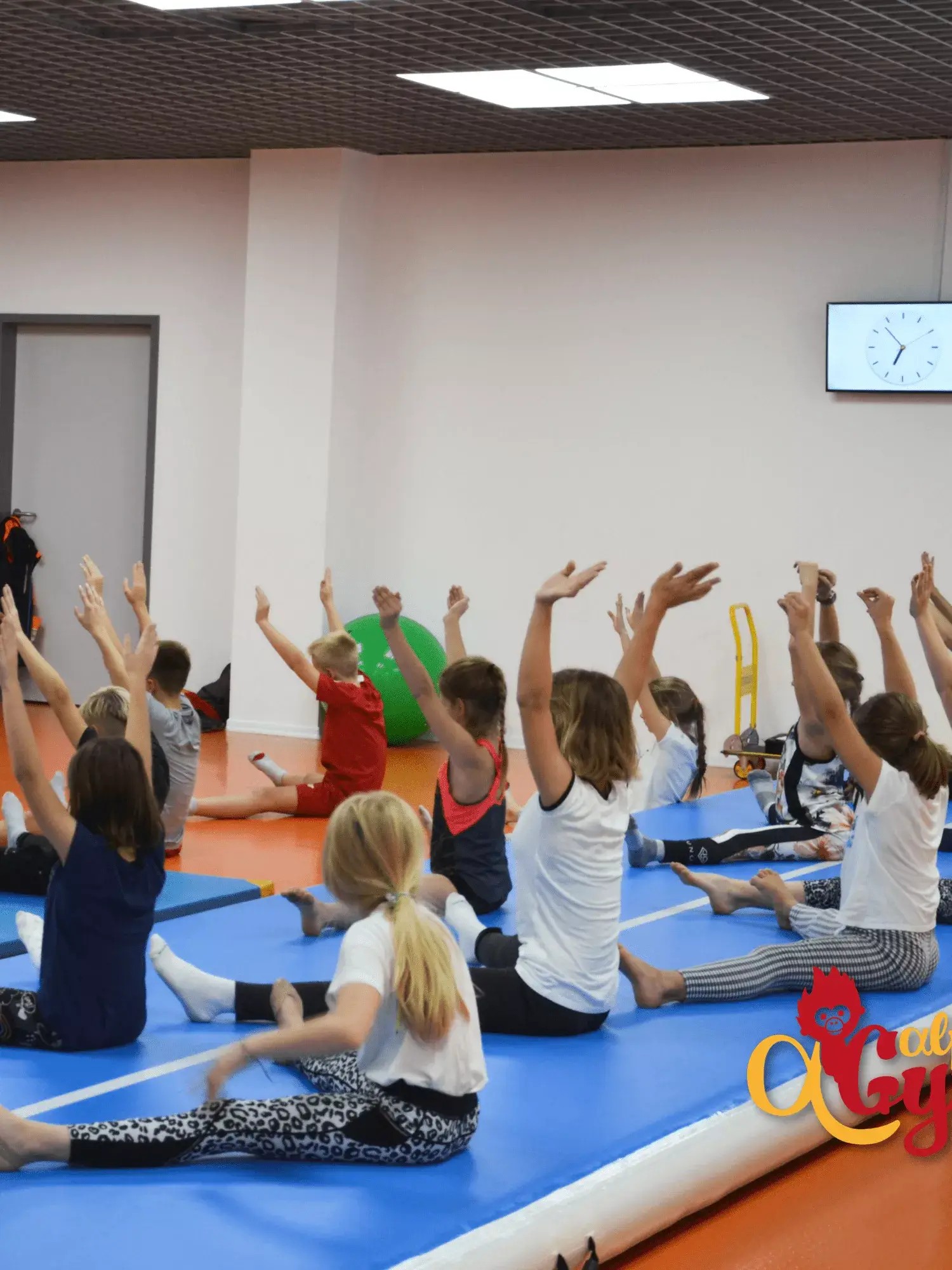 Klub Sportowy ALPHA GYM - zdjęcie 14