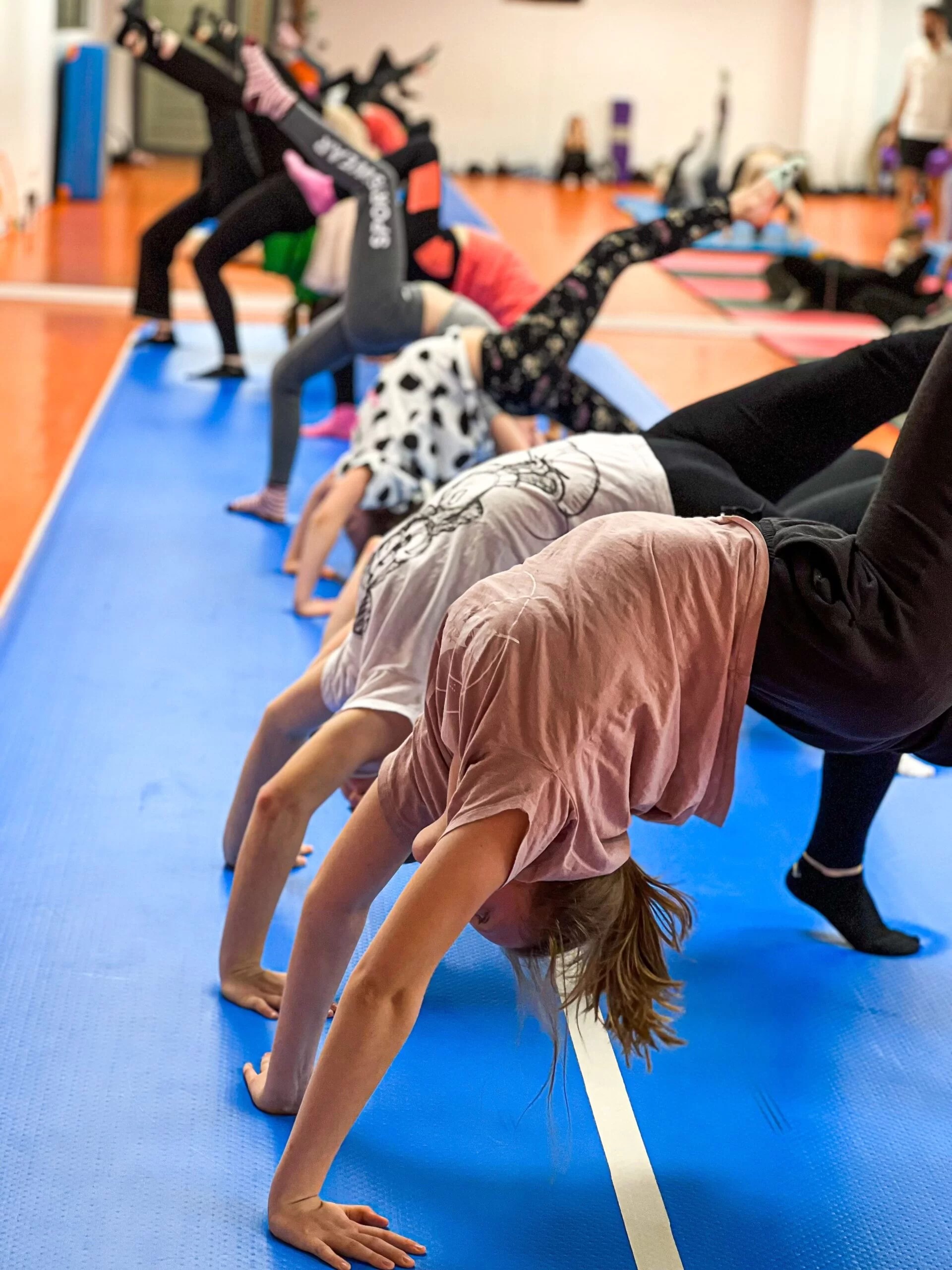 Klub Sportowy ALPHA GYM - zdjęcie 7