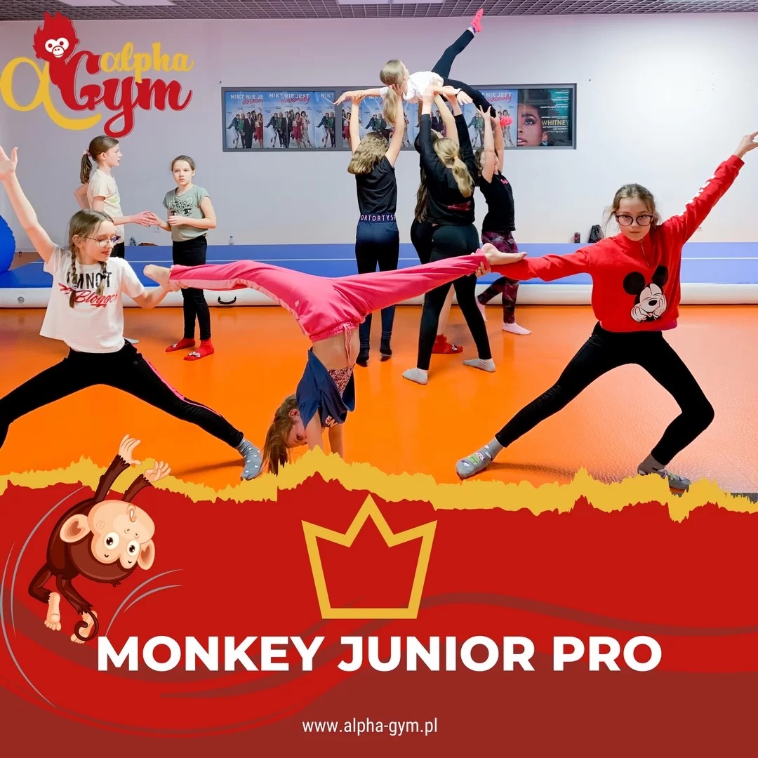 Klub Sportowy ALPHA GYM - zdjęcie 8