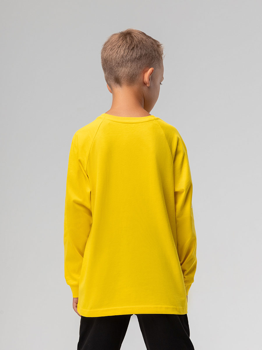 Лонгслив 117-13 3