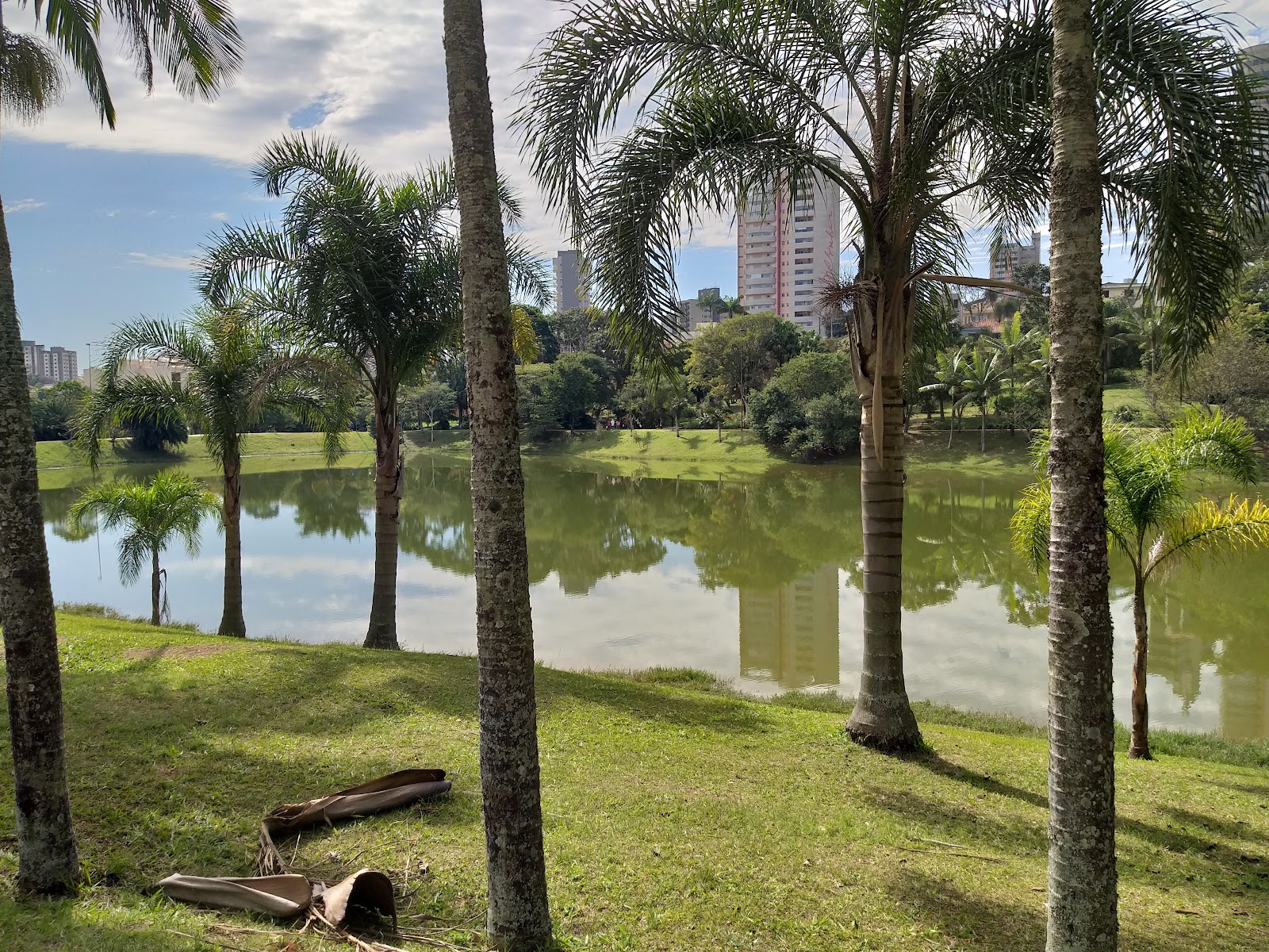 Parque Central - Santo André