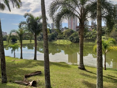 Parque Central - Santo André