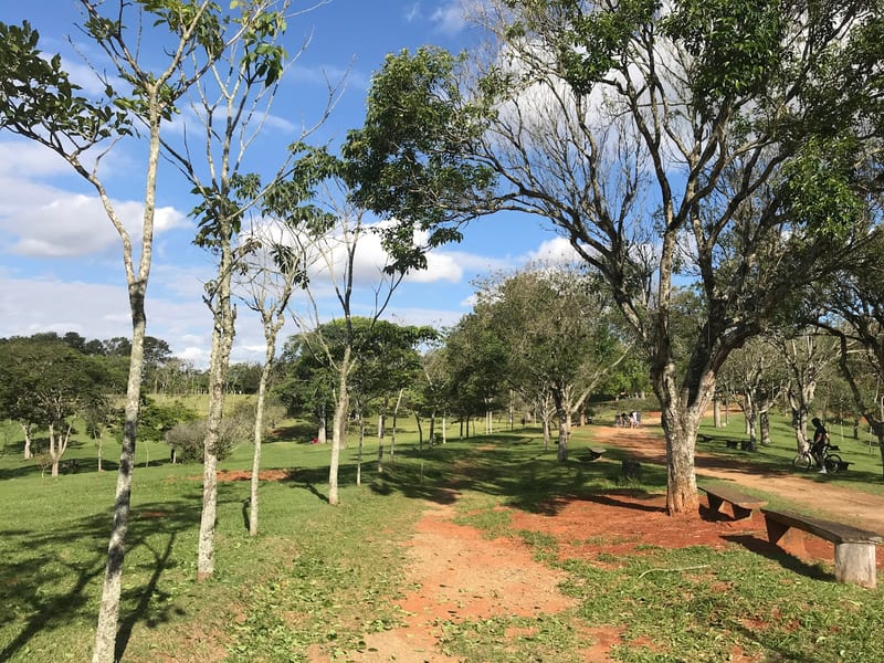 Foto 4 de Parque Cemucam
