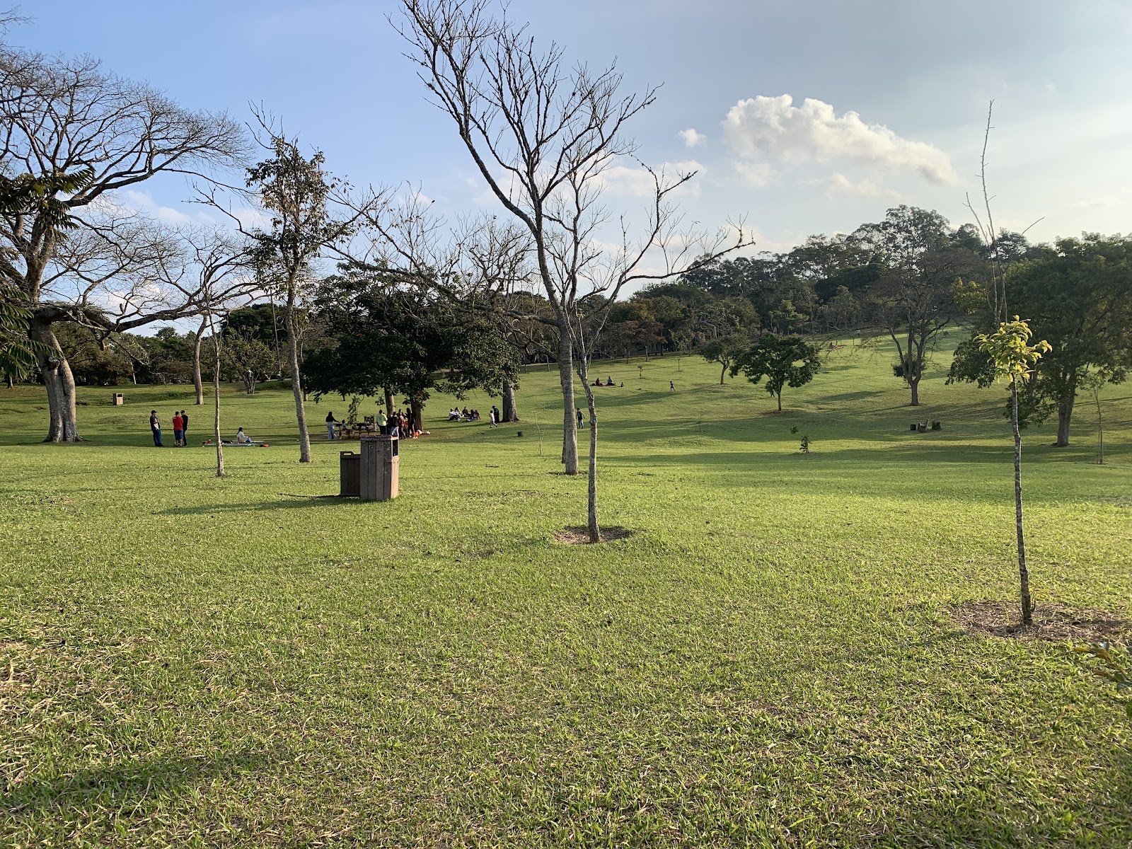 Parque Cemucam