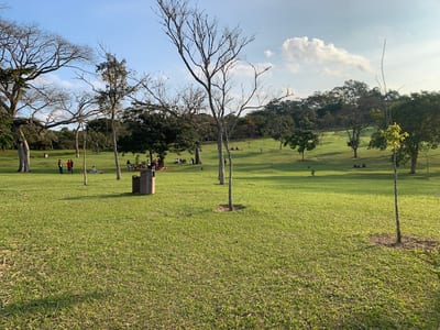 Parque Cemucam