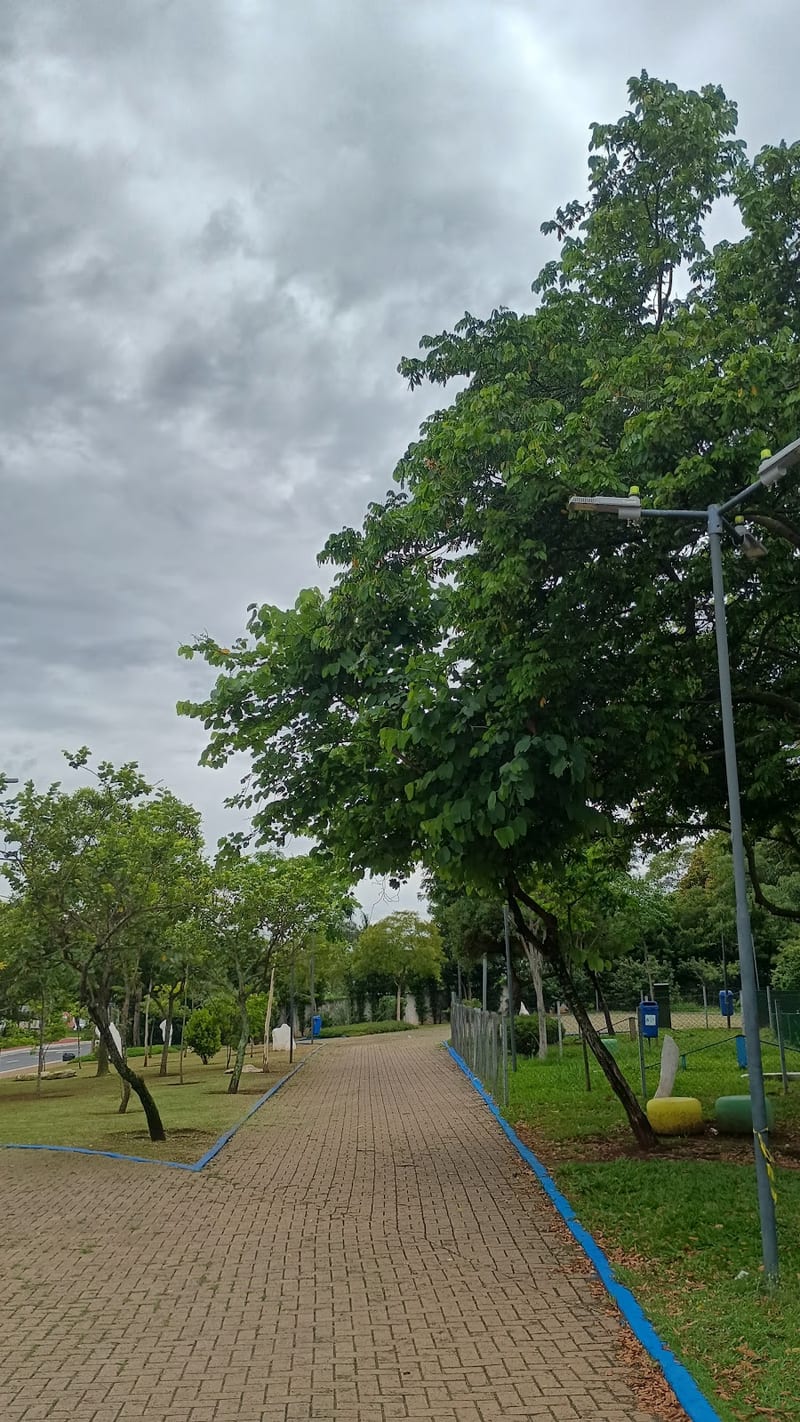 Foto 2 de Praça Nipo Brasileira