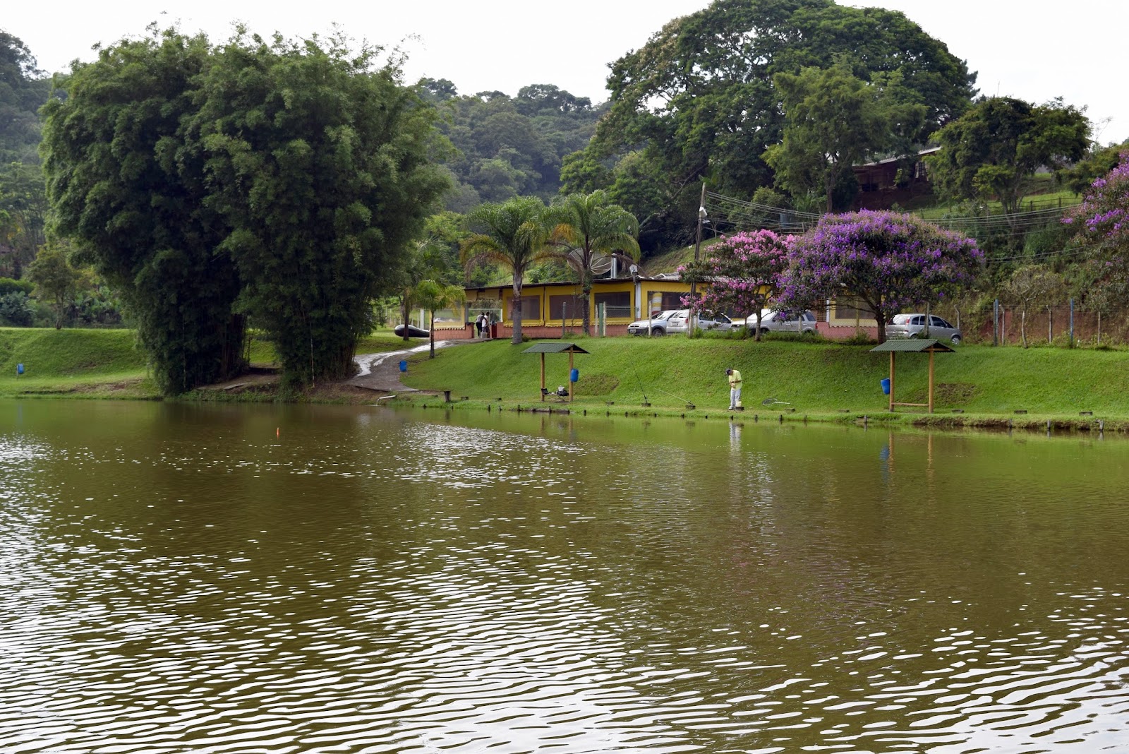 Fazendinha Fujimar - Mini Fazenda em Cotia / Recreação Infantil / Espaço para Eventos