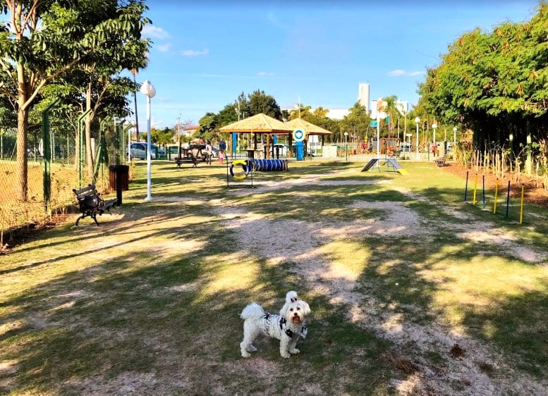 Área kids de Praça Família Jundiaí & Espaço Pet