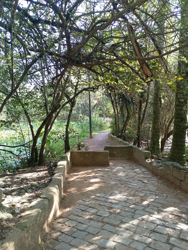 Foto 2 de Parque Ecológico Alessandro Weiss