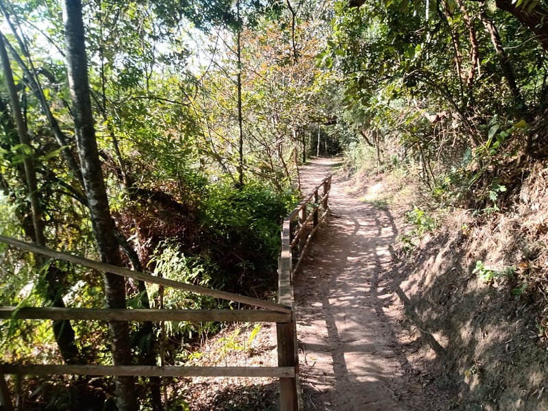Foto 2 de Parque Jequitibá
