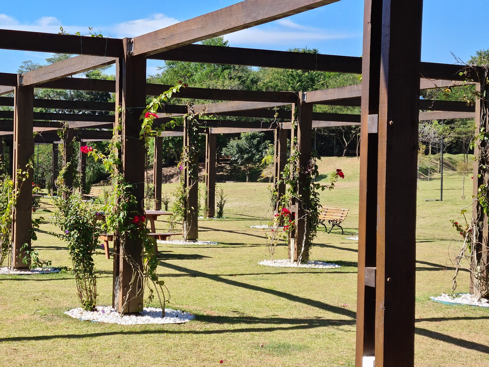 Parque Jequitibá