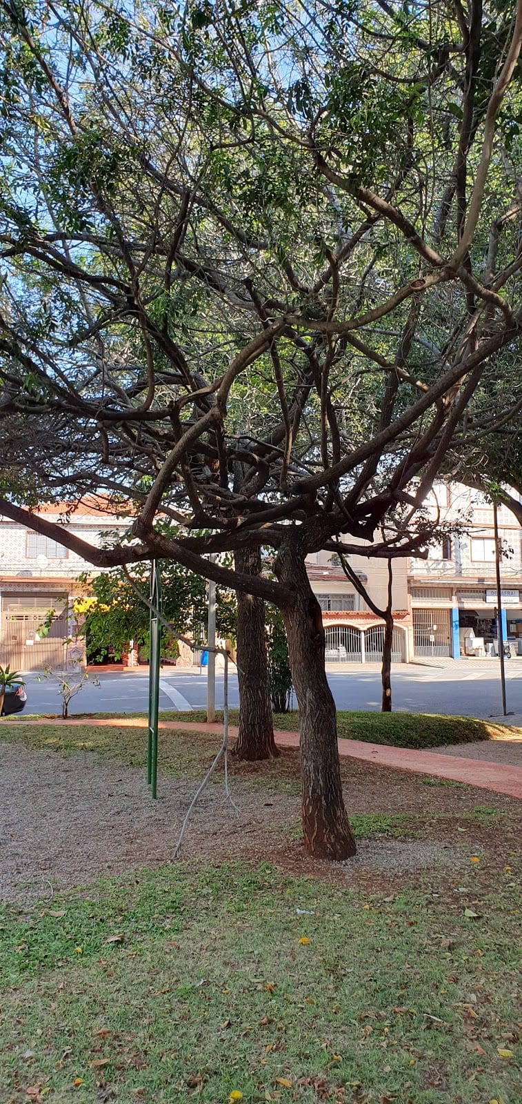 Foto 5 de Praça Maria Salete Bento Cicaroni