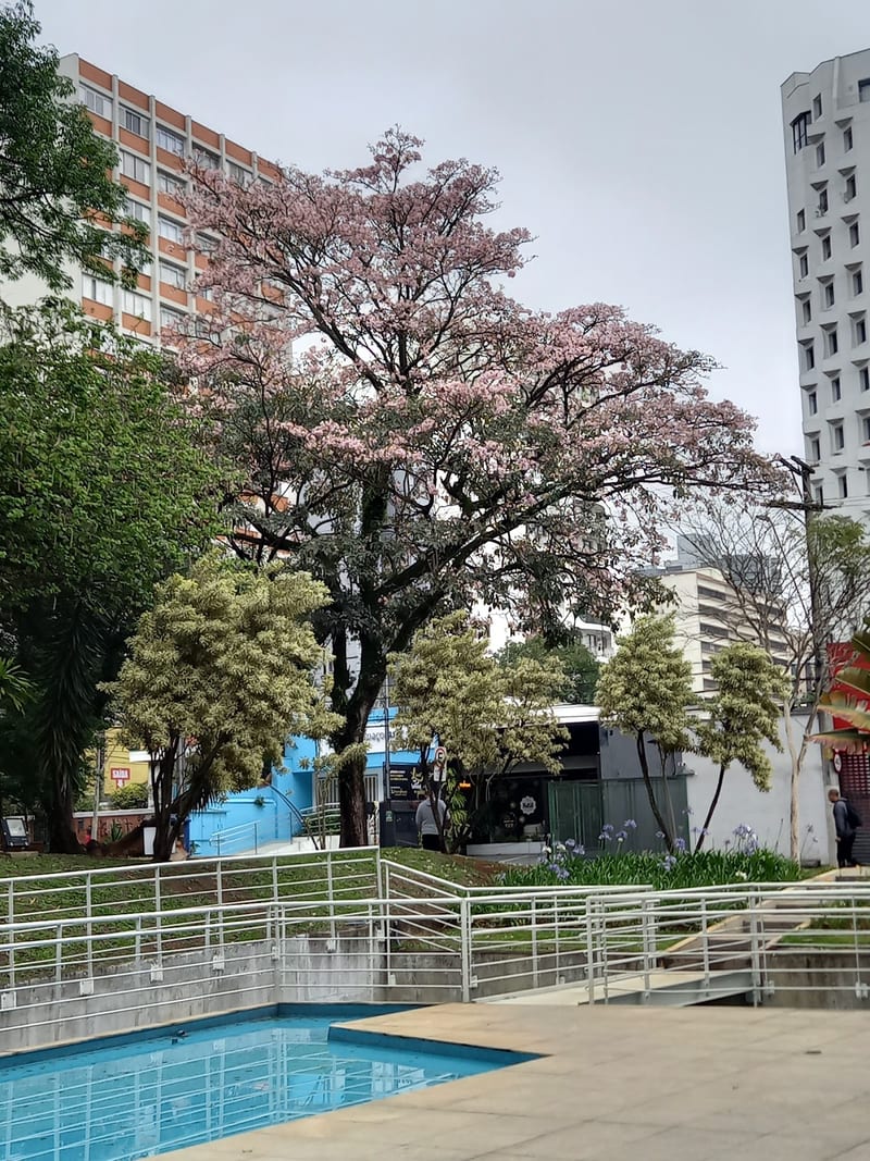 Foto 3 de Praça São Caetano Di Thiene