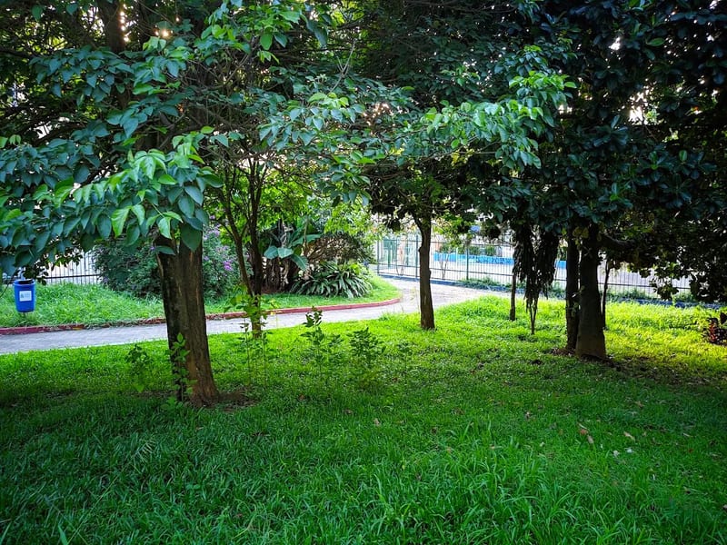 Foto 5 de Parque Santa Maria - Cidade das Crianças