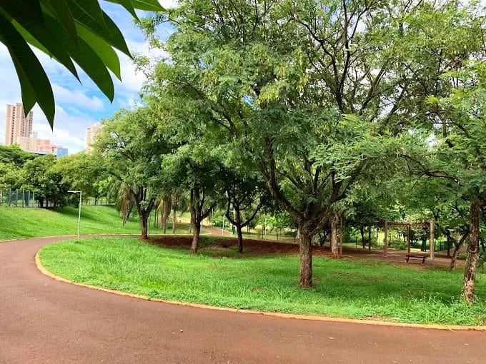 Foto 4 de Parque das Artes