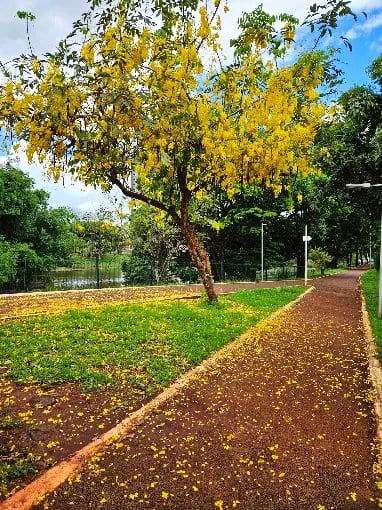 Área kids de Parque das Artes