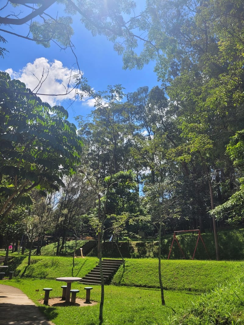 Foto 1 de Parque Municipal Cidade dos Meninos