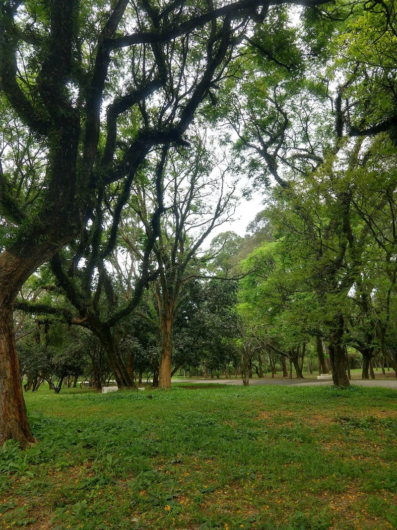 Foto 2 de Parque Ecológico - Ilha do Tamboré