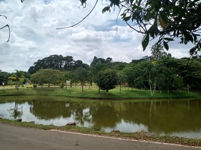 Parque Teresa Maia