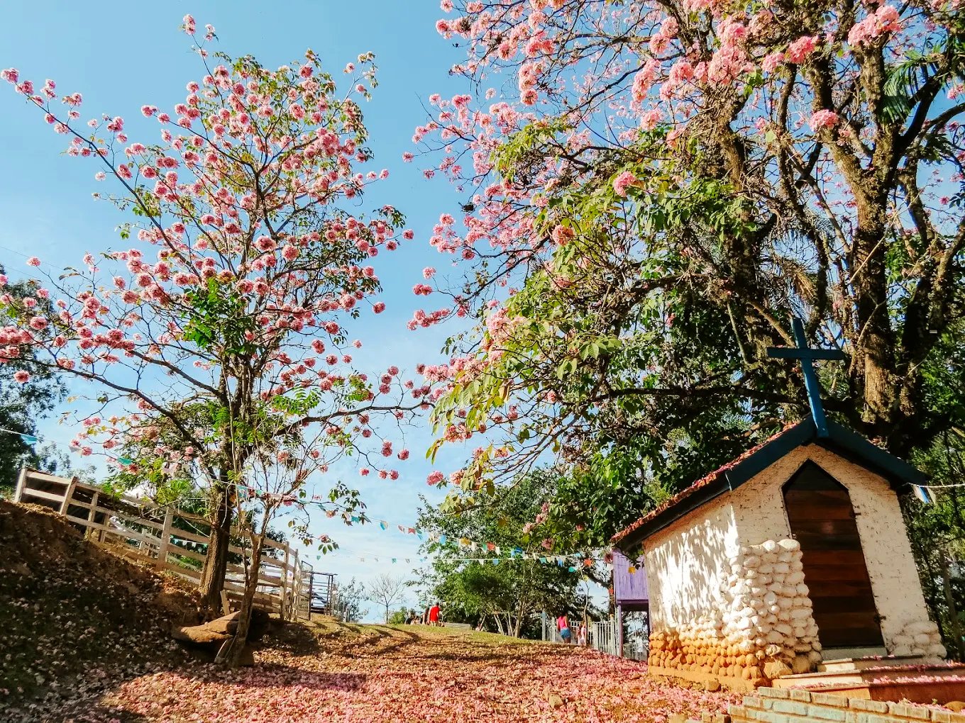 Fazendinha da Juju