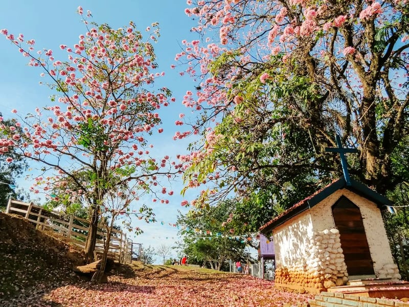 Foto 1 de Fazendinha da Juju