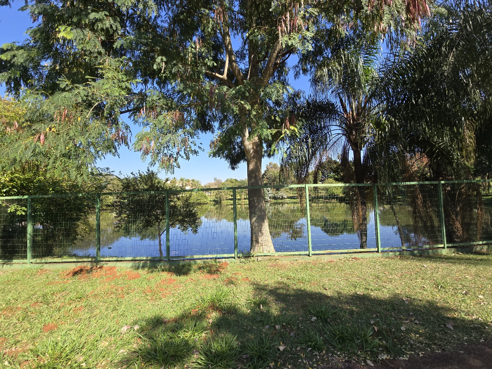 Parque Tom Jobim