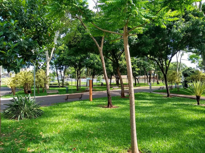 Foto 5 de Parque Maurilio Biagi