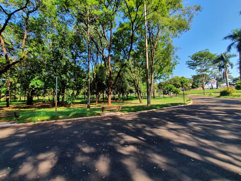 Foto 4 de Parque Maurilio Biagi