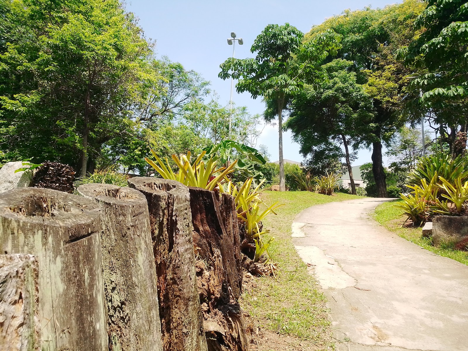 Parque Escola